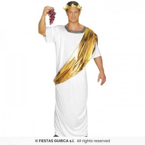 Στολή ενηλίκων Αρχαίος Έλληνας Καίσαρας Ρωμαίος χωρίς στεφάνι 80431 Αποκριάτικα 