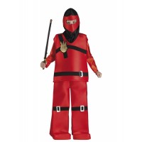 Παιδική στολή Νίντζα γκο Λέγκο 21706 Αποκριάτικα 