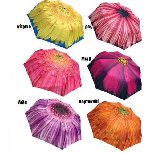 Ομπρέλα βροχής 3σπαστη αυτόματη 02890 Χειμωνιάτικα