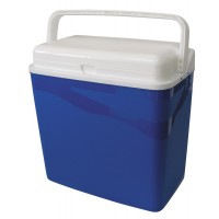 Ψυγείο New Style  25L Καλοκαιρινά